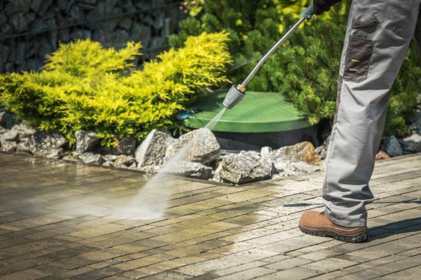 Best Solar Panel Cleaning  in Senath, MO