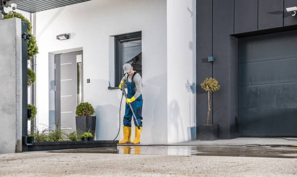 Best Fence Cleaning  in Senath, MO
